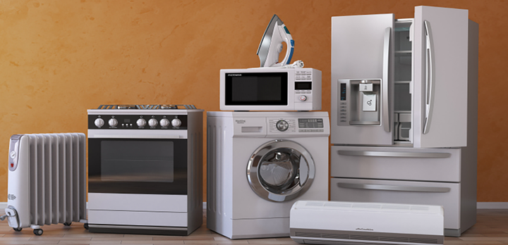 Domestic electric appliance